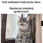 Co za dużo to niezdrowo