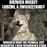 Podstawowa różnica