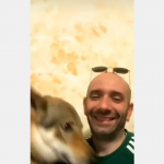Wierny piesek