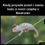 Czapka z Biedronki