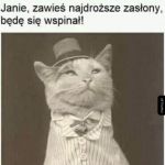 Jeno chyżo
