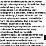 Chomiki wygrały
