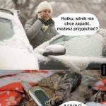 Kotek