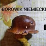 Kapelusz czy hełm?