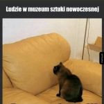 Muzeum