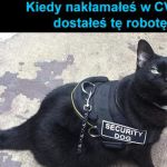 Trzeba stwarzać pozory