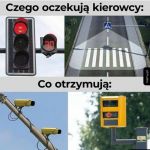Oczekiwania vs rzeczywistość