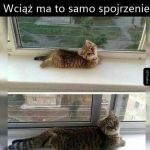 Bez zmian