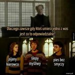 Kierowca i myśliwy częściej