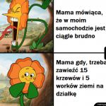 Auto służy do wożenia