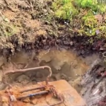 Walizka zapakowana na drogę do stw&oacute;rcy