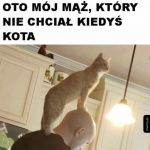 Żeby kotu było raźniej