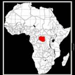 Lewackie pierdolamentum