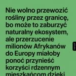 Zaburzenie ekosystemu