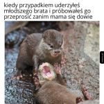 Rodzeństwo