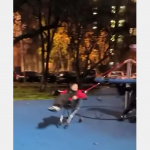 Pokonali grawitację