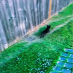 Ma swoje przyzwyczajenia