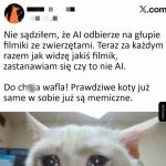 Trochę mnie to denerwuje