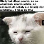 Jak dobrze, że tylko się wydawało