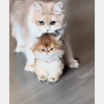 Chwila nieuwagi i g&oacute;wniarz uciekł