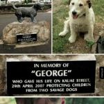 Poświęcił swoje życie