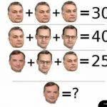 Prawdziwy memiarz wie po pierwszym rzucie oka