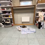 Nawet mi go nie szkoda