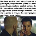 Krwiożercze bociany