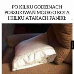 Zguba się odnalazła