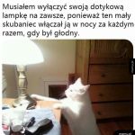 Czarodziejska lampka