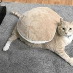 Kolorystycznie na 10