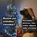 Jeszcze tylko fota