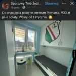 Pokoj do wynajecia w Poznaniu