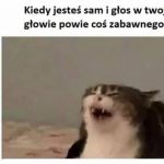 Głosy