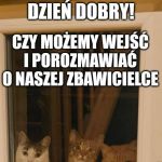 Goście