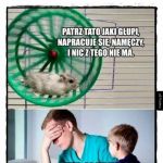 Wcale nie śmieszne...