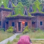 Ciekawe co myśli sobie pies