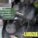 Najwięksi szkodnicy