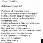 Rzeczy