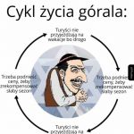 Cykl zycia gorala