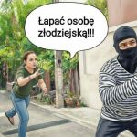 Absurd zawdzięczamy lewakom tępakom