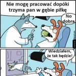 Wiedziałem