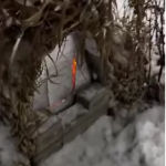 Zimowy domek dla kot&oacute;w