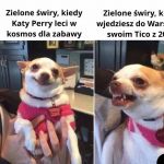 Szkoda sł&oacute;w