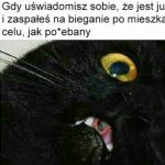 Trzeba to jutro nadrobić