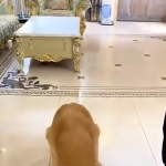 Nikt nic nie widział