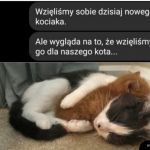 Zaadoptował