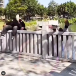 Przyjaciele - zawsze razem