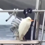 Ja, stojąc przy pisuarze i uświadamiając sobie, jak bardzo jestem w dupie...