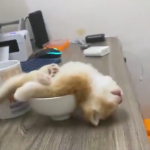 Maluch jest zmęczony